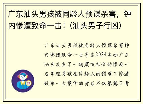 广东汕头男孩被同龄人预谋杀害，钟内惨遭致命一击！(汕头男子行凶)