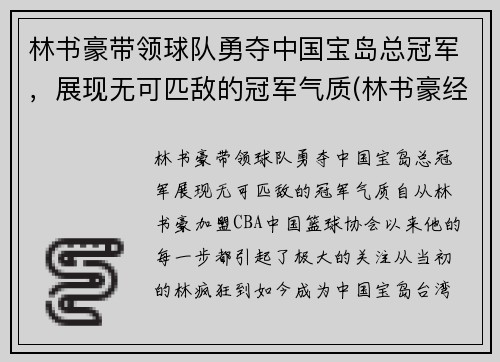 林书豪带领球队勇夺中国宝岛总冠军，展现无可匹敌的冠军气质(林书豪经典比赛)