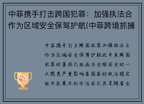 中菲携手打击跨国犯罪：加强执法合作为区域安全保驾护航(中菲跨境抓捕)
