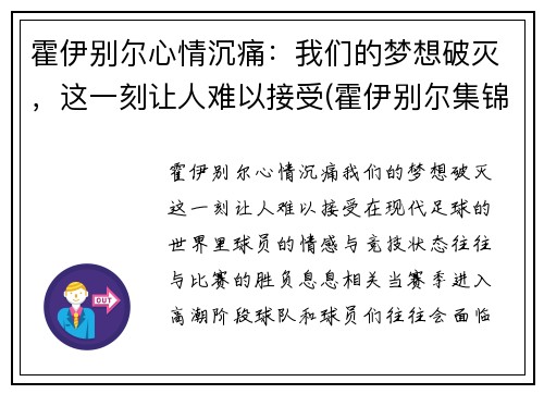 霍伊别尔心情沉痛：我们的梦想破灭，这一刻让人难以接受(霍伊别尔集锦)